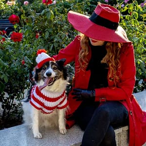 Brianna, dressed up as Carmen Sandiego in a red trench coat, wide-brimmed red hat, and black gloves, sits beside Beau, a black-and-white border collie mix, dressed as Waldo with a striped sweater and knit hat.